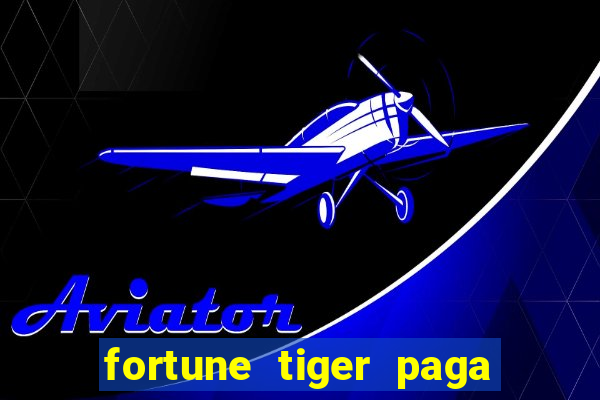 fortune tiger paga de madrugada